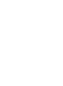 Bambu Nedir?